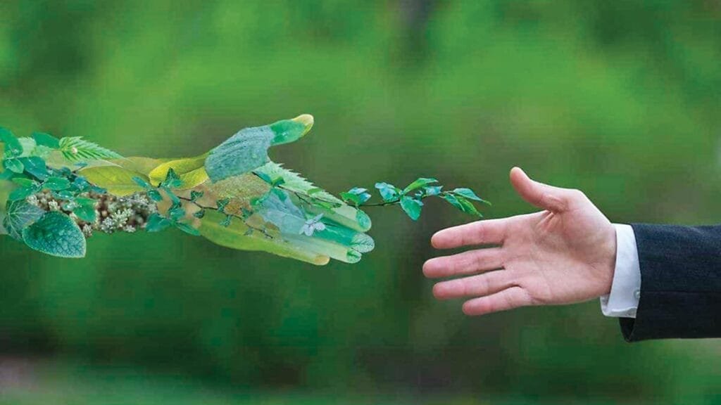 الشباب السعودي والبيئة