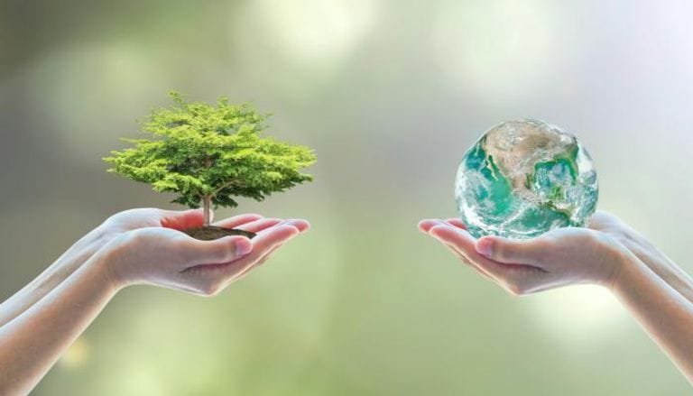 دور التعليم في تعزيز القيم البيئية