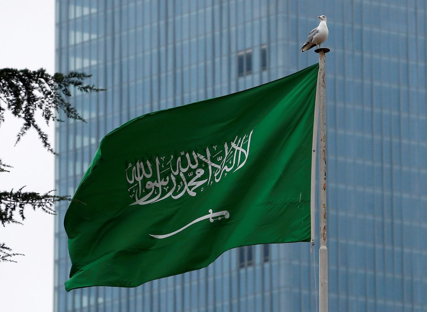 وظائف السعودية جازان