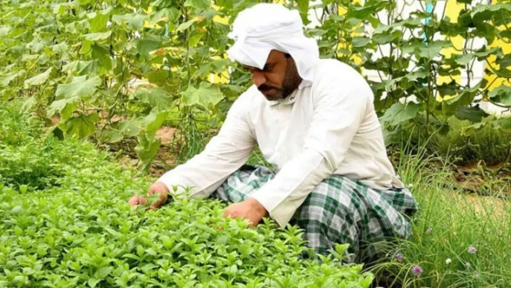 وظائف زراعة السعودية