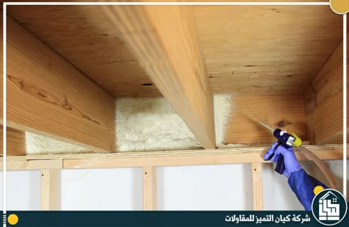 شركة كيان