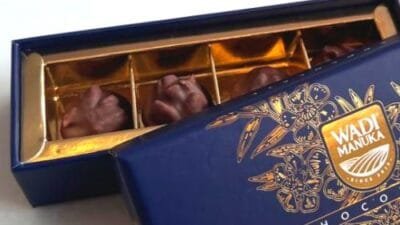 فوائد شوكولاتة عسل المانوكا