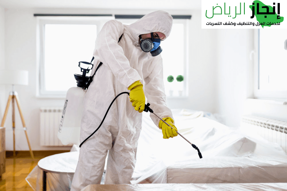 شركة رش مبيدات بالرياض